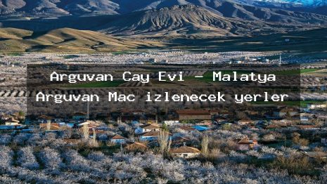 Arguvan Çay Evi – Malatya Arguvan Maç izlenecek yerler
