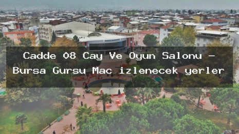 Cadde 08 Çay Ve Oyun Salonu – Bursa Gürsu Maç izlenecek yerler
