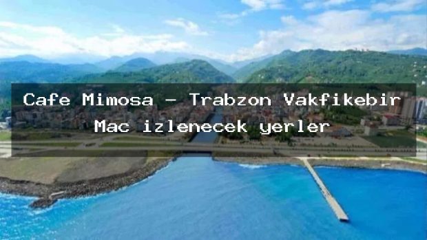 Cafe Mimosa – Trabzon Vakfıkebir Maç izlenecek yerler