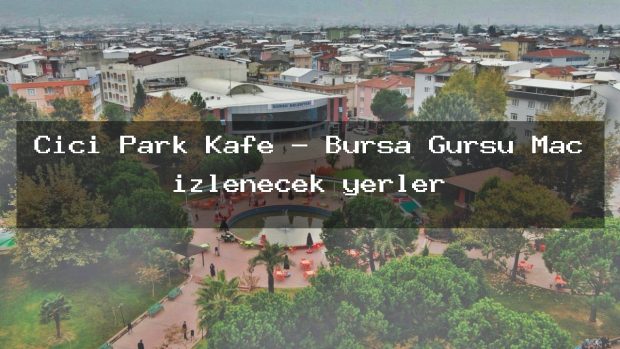 Cici Park Kafe – Bursa Gürsu Maç izlenecek yerler