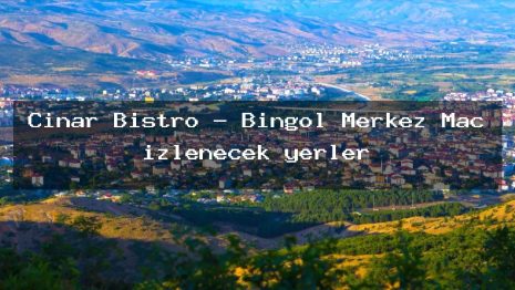 Çinar Bistro – Bingöl Merkez Maç izlenecek yerler