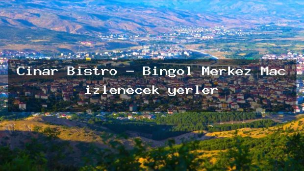 Çinar Bistro – Bingöl Merkez Maç izlenecek yerler
