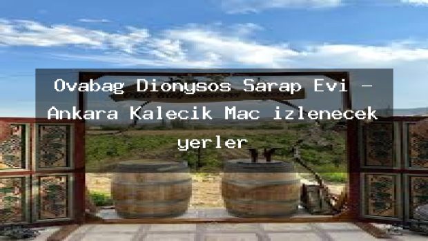 Ovabağ Dionysos Şarap Evi – Ankara Kalecik Maç izlenecek yerler