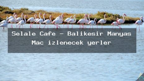 Şelale Cafe – Balıkesir Manyas Maç izlenecek yerler
