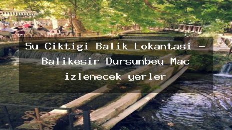 Su Ciktigi Balik Lokantasi – Balıkesir Dursunbey Maç izlenecek yerler