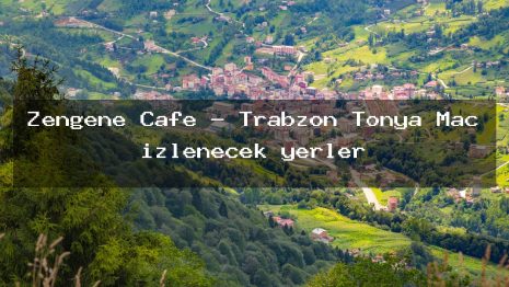 Zengene Cafe – Trabzon Tonya Maç izlenecek yerler