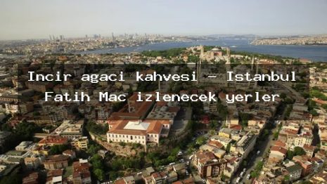 İncir ağacı kahvesi – İstanbul Fatih Maç izlenecek yerler
