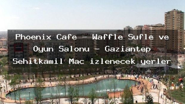 Phoenix Cafe – Waffle Sufle ve Oyun Salonu – Gaziantep Şehitkamil Maç izlenecek yerler